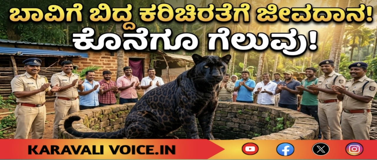 ಬಾವಿಗೆ ಬಿದ್ದ ಕರಿಚಿರತೆಗೆ ಜೀವದಾನ! ವಿಡಿಯೋ ನೋಡಿ