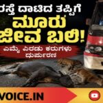 ರಸ್ತೆ ದಾಟಿದ ತಪ್ಪಿಗೆ ಮೂರು ಜೀವ ಬಲಿ! 