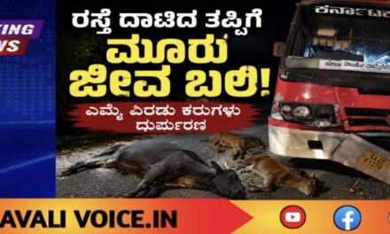 ರಸ್ತೆ ದಾಟಿದ ತಪ್ಪಿಗೆ ಮೂರು ಜೀವ ಬಲಿ! 