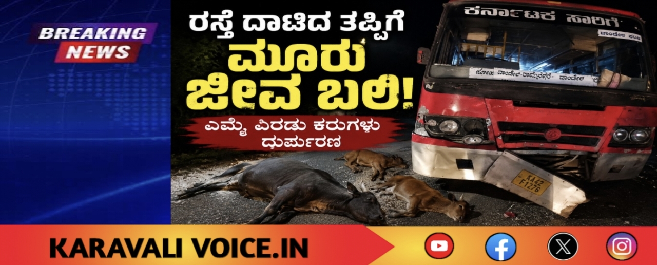 ರಸ್ತೆ ದಾಟಿದ ತಪ್ಪಿಗೆ ಮೂರು ಜೀವ ಬಲಿ! 
