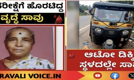 ರಕ್ತ ಪರೀಕ್ಷೆಗೆ ಹೊರಟ ವೃದ್ಧೆಗೆ ಆಟೋ ಡಿಕ್ಕಿ; ಸಾವು