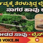 ಕರ್ತವ್ಯಕ್ಕೆ ತೆರಳುತ್ತಿದ್ದ ಲೈನ್‌ಮೆನ್‌ಗೆ ನಾಗರ ಹಾವು ಕಚ್ಚಿ ಸಾವು