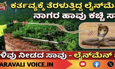 ಕರ್ತವ್ಯಕ್ಕೆ ತೆರಳುತ್ತಿದ್ದ ಲೈನ್‌ಮೆನ್‌ಗೆ ನಾಗರ ಹಾವು ಕಚ್ಚಿ ಸಾವು