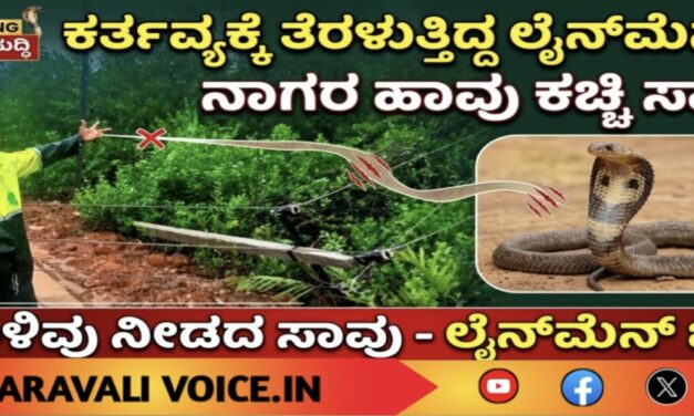 ಕರ್ತವ್ಯಕ್ಕೆ ತೆರಳುತ್ತಿದ್ದ ಲೈನ್‌ಮೆನ್‌ಗೆ ನಾಗರ ಹಾವು ಕಚ್ಚಿ ಸಾವು
