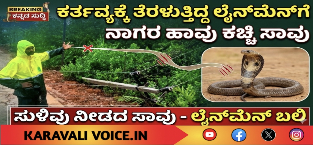 ಕರ್ತವ್ಯಕ್ಕೆ ತೆರಳುತ್ತಿದ್ದ ಲೈನ್‌ಮೆನ್‌ಗೆ ನಾಗರ ಹಾವು ಕಚ್ಚಿ ಸಾವು