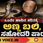 ಹಾವು ಕಚ್ಚಿ ವಿದ್ಯಾರ್ಥಿ ಸಾವು; ಸಹೋದರಿ ಪಾರು!