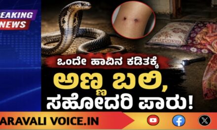 ಹಾವು ಕಚ್ಚಿ ವಿದ್ಯಾರ್ಥಿ ಸಾವು; ಸಹೋದರಿ ಪಾರು!