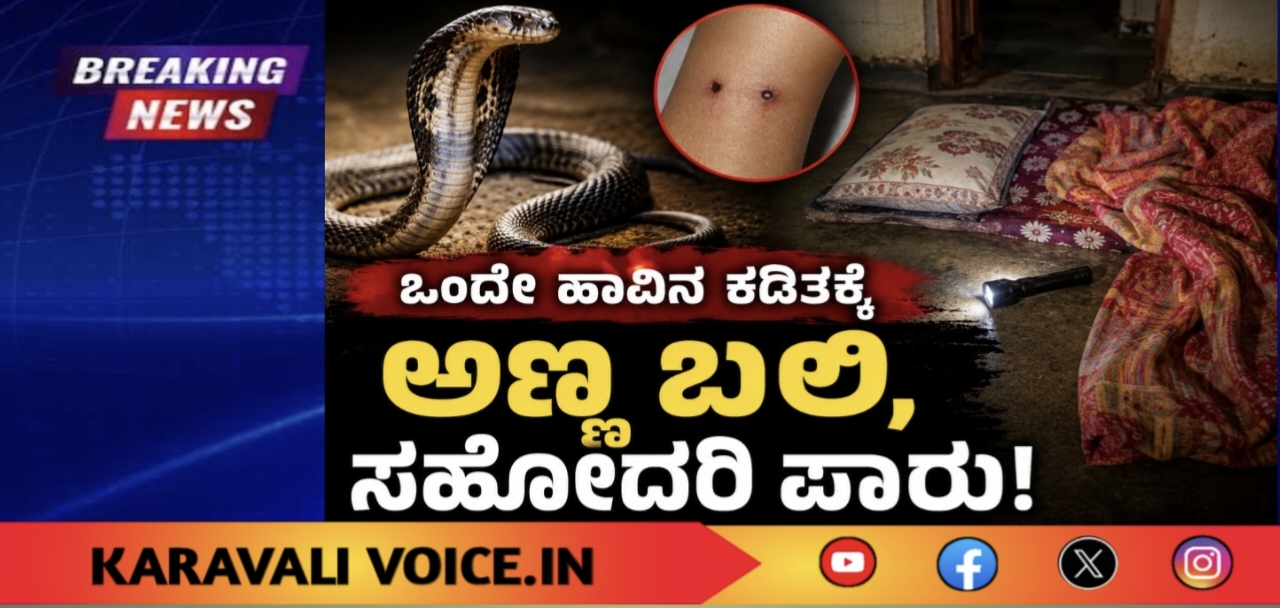 ಹಾವು ಕಚ್ಚಿ ವಿದ್ಯಾರ್ಥಿ ಸಾವು; ಸಹೋದರಿ ಪಾರು!