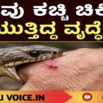 ಹಾವು ಕಚ್ಚಿ ಚಿಕಿತ್ಸೆ ಪಡೆಯುತ್ತಿದ್ದ ವೃದ್ಧೆ ಸಾವು