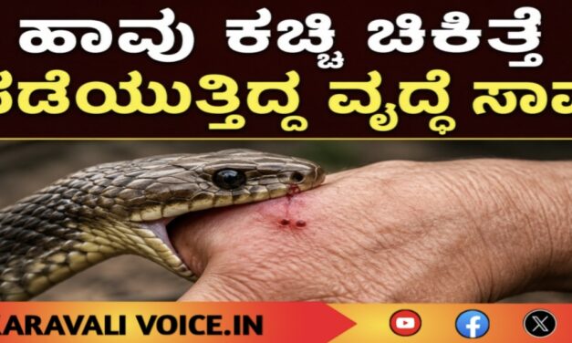 ಹಾವು ಕಚ್ಚಿ ಚಿಕಿತ್ಸೆ ಪಡೆಯುತ್ತಿದ್ದ ವೃದ್ಧೆ ಸಾವು