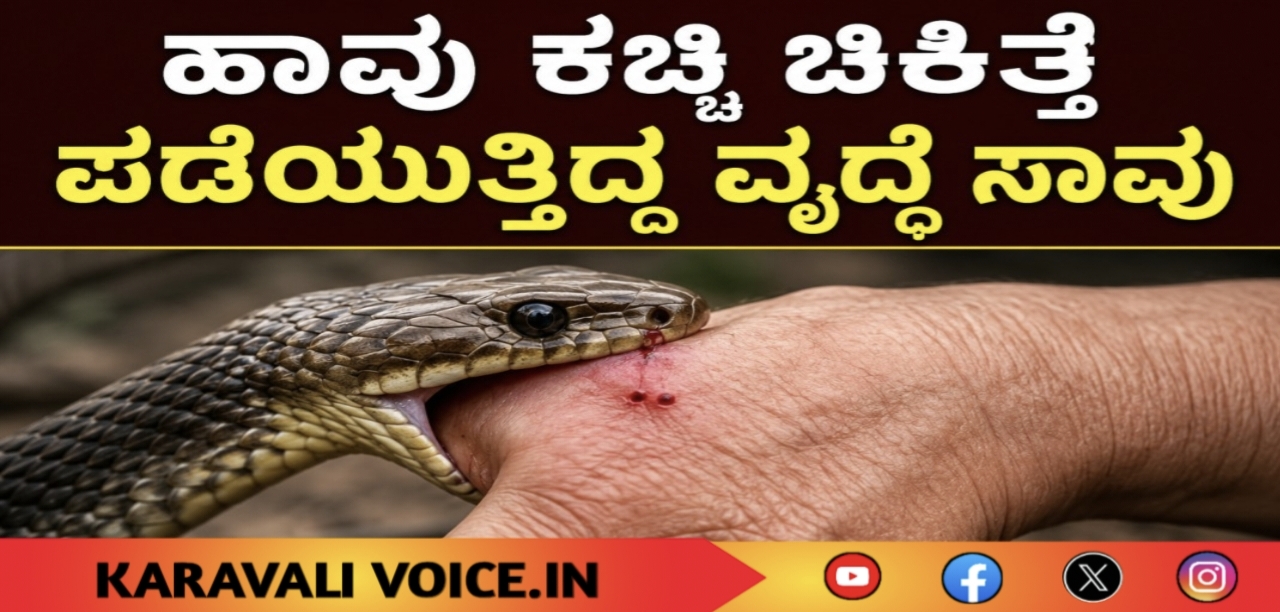 ಹಾವು ಕಚ್ಚಿ ಚಿಕಿತ್ಸೆ ಪಡೆಯುತ್ತಿದ್ದ ವೃದ್ಧೆ ಸಾವು
