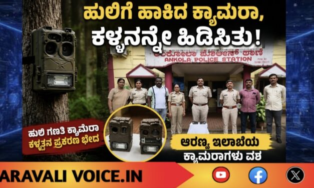 ಹುಲಿಗೆ ಹಾಕಿದ ಕ್ಯಾಮೆರಾ, ಕಳ್ಳನನ್ನೇ ಹಿಡಿಸಿತು!