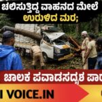 ಚಲಿಸುತ್ತಿದ್ದ ವಾಹನದ ಮೇಲೆ ಉರುಳಿದ ಮರ; ಚಾಲಕ ಪವಾಡಸದೃಶ ಪಾರು