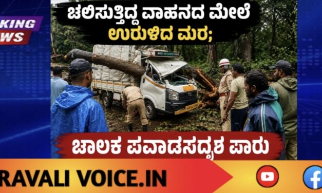 ಚಲಿಸುತ್ತಿದ್ದ ವಾಹನದ ಮೇಲೆ ಉರುಳಿದ ಮರ; ಚಾಲಕ ಪವಾಡಸದೃಶ ಪಾರು