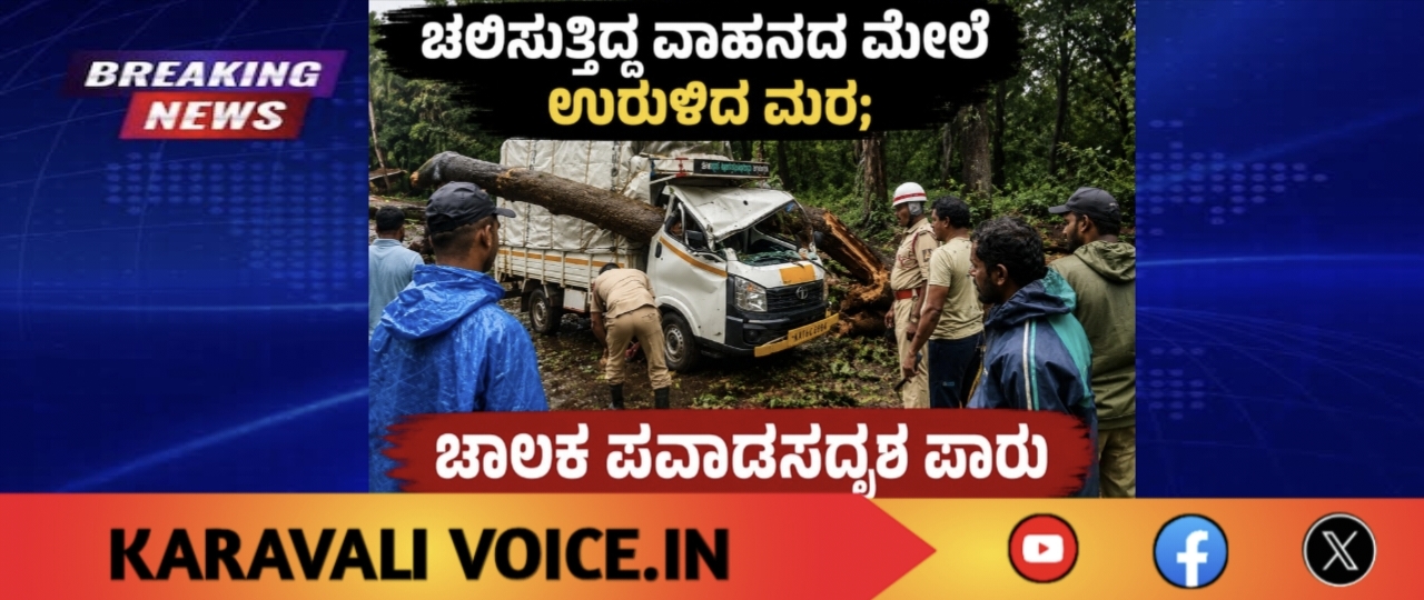 ಚಲಿಸುತ್ತಿದ್ದ ವಾಹನದ ಮೇಲೆ ಉರುಳಿದ ಮರ; ಚಾಲಕ ಪವಾಡಸದೃಶ ಪಾರು