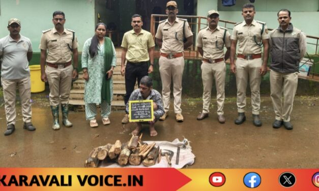 33 ಕೆಜಿ ಶ್ರೀಗಂಧ ಜಪ್ತಿ: ಓರ್ವ ಸೆರೆ, ಓರ್ವ ಪರಾರಿ