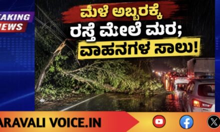 ಮಳೆ ಅಬ್ಬರಕ್ಕೆ ರಸ್ತೆ ಮೇಲೆ ಮರ; ವಾಹನಗಳ ಸಾಲು!