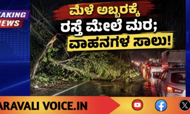 ಮಳೆ ಅಬ್ಬರಕ್ಕೆ ರಸ್ತೆ ಮೇಲೆ ಮರ; ವಾಹನಗಳ ಸಾಲು!