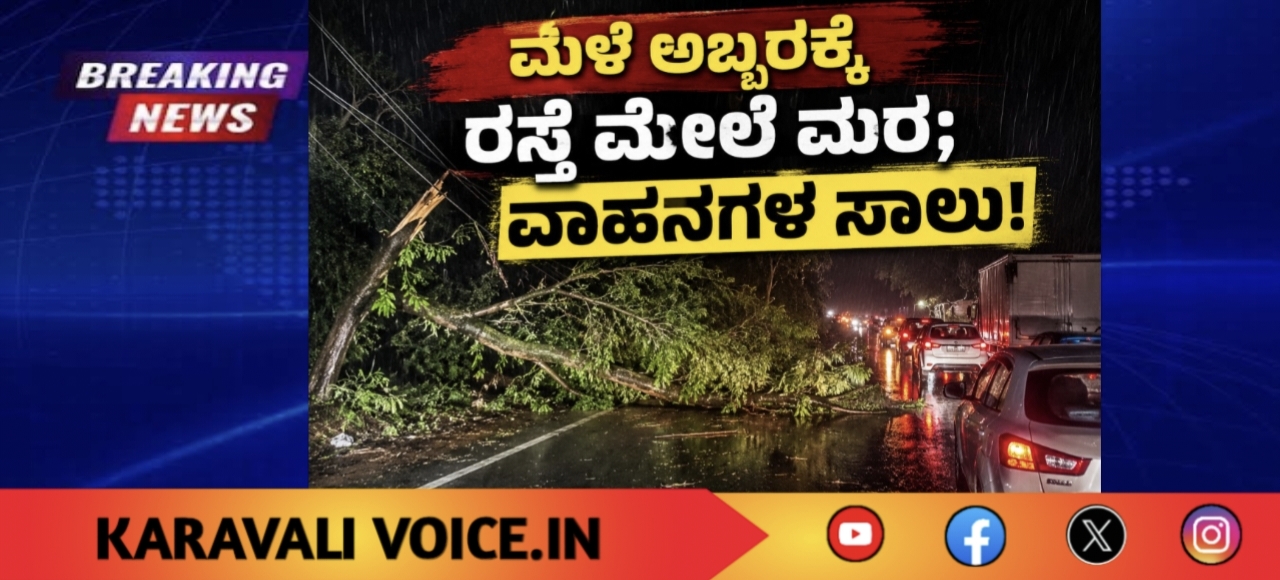ಮಳೆ ಅಬ್ಬರಕ್ಕೆ ರಸ್ತೆ ಮೇಲೆ ಮರ; ವಾಹನಗಳ ಸಾಲು!