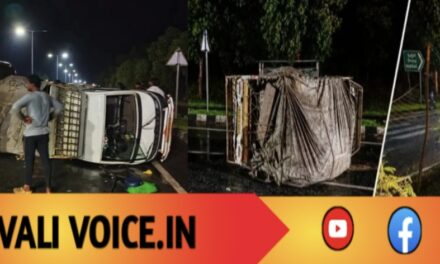 ಬಾಳೆಕಾಯಿ ಪಿಕಪ್ ಪಲ್ಟಿ; ಡಿವೈಡರ್ ಏರಿ ಕಂಬಕ್ಕೆ ಕಾರು!