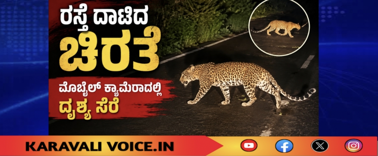 ರಸ್ತೆ ದಾಟಿದ ಚಿರತೆ; ಮೊಬೈಲ್ ಕ್ಯಾಮೆರಾದಲ್ಲಿ ದೃಶ್ಯ ಸೆರೆ