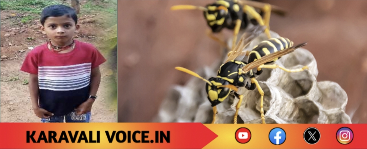 ಕಡ್ಜದ ಹುಳು ಕಡಿದು 8 ವರ್ಷದ ಬಾಲಕ ಸಾವು