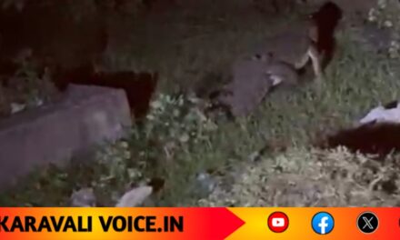 ಜನವಸತಿ ಪ್ರದೇಶದ ಬಳಿಯೇ ಮೊಸಳೆ ಓಡಾಟ! 
