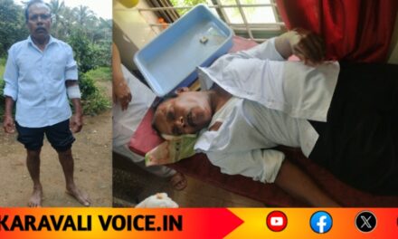 ಮತ್ತೆ ಹೋರಿ ಅಟ್ಯಾಕ್; ಸ್ಕೂಟಿ ಸವಾರನಿಗೆ ಗಂಭೀರ ಗಾಯ!