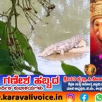 ಗಣಪತಿ ವಿಸರ್ಜನೆ ಕೆರೆಯಲ್ಲಿ ಮೊಸಳೆ; ಬಲೆ ಹಾಕಿ ಶೋಧ!