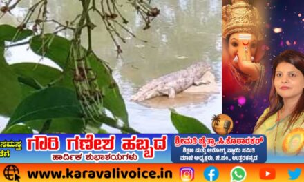 ಗಣಪತಿ ವಿಸರ್ಜನೆ ಕೆರೆಯಲ್ಲಿ ಮೊಸಳೆ; ಬಲೆ ಹಾಕಿ ಶೋಧ!
