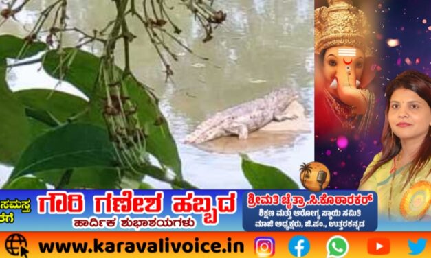 ಗಣಪತಿ ವಿಸರ್ಜನೆ ಕೆರೆಯಲ್ಲಿ ಮೊಸಳೆ; ಬಲೆ ಹಾಕಿ ಶೋಧ!