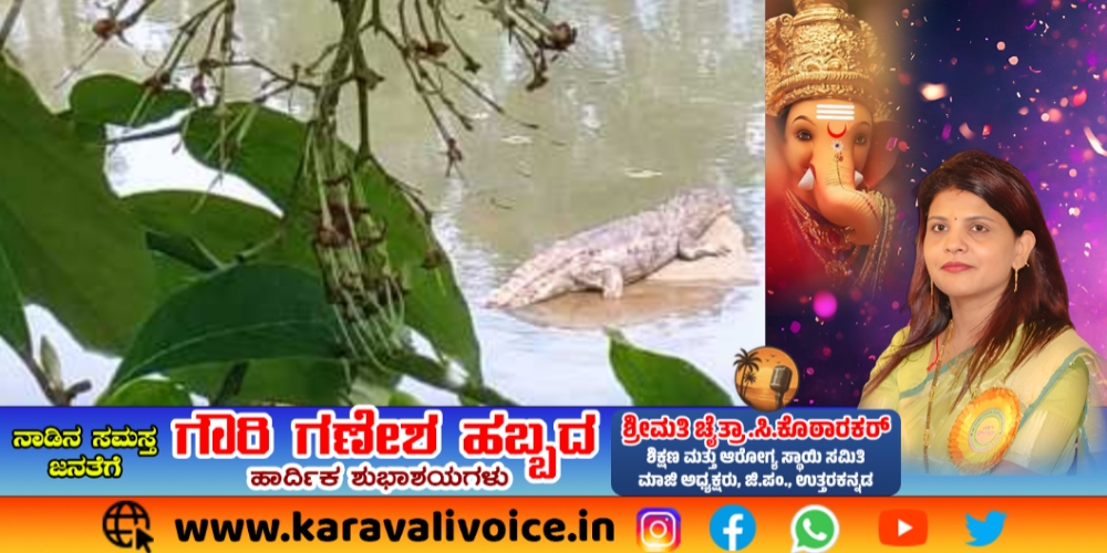 ಗಣಪತಿ ವಿಸರ್ಜನೆ ಕೆರೆಯಲ್ಲಿ ಮೊಸಳೆ; ಬಲೆ ಹಾಕಿ ಶೋಧ!