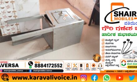 ಬೀಗ ಮುರಿದು ದೇಗುಲ ಪ್ರವೇಶ; ನಾಗಮೂರ್ತಿಗಳೇ ನಾಪತ್ತೆ!