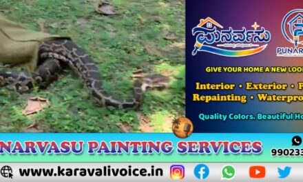 ವಿಡಿಯೋ ನೋಡಿ, ಹೊಲದಲ್ಲಿ ಪ್ರತ್ಯಕ್ಷವಾಯ್ತು 15 ಅಡಿ ಉದ್ದದ ಹೆಬ್ಬಾವು!  