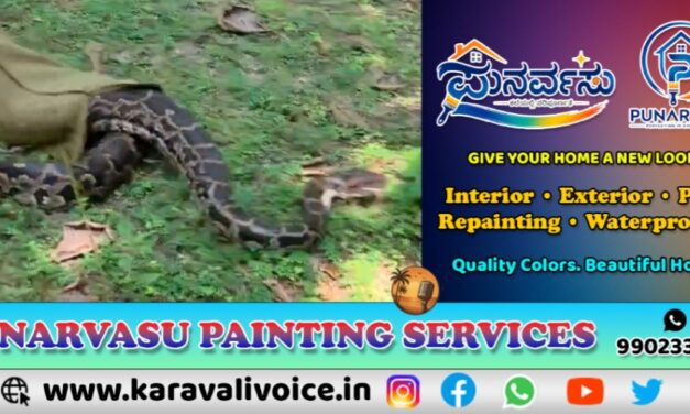 ವಿಡಿಯೋ ನೋಡಿ, ಹೊಲದಲ್ಲಿ ಪ್ರತ್ಯಕ್ಷವಾಯ್ತು 15 ಅಡಿ ಉದ್ದದ ಹೆಬ್ಬಾವು!  