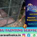 ಕಾರವಾರದಲ್ಲಿ ಪಂಜರಕ್ಕೆ ಬಿದ್ದ ಚಿರತೆ! 