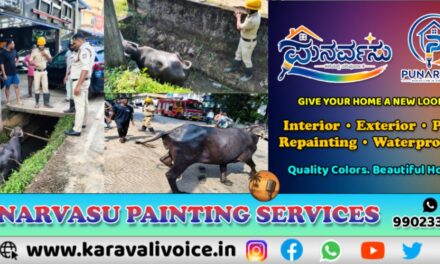 ಎಮ್ಮೆ ಹೋಯ್ತು ಚರಂಡಿಗೆ; ಅಗ್ನಿಶಾಮಕರು ಬಂದರು ರಕ್ಷಣೆಗೆ!