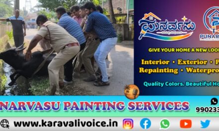 ಎಮ್ಮೆಗೆ ಚರಂಡಿ ಕಂಟಕ, ಅಗ್ನಿಶಾಮಕರಿಗೆ ನಿತ್ಯ ಸಂಕಟ!
