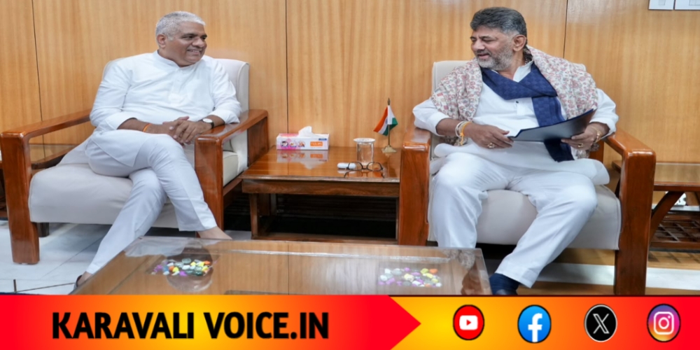 ಶರಾವತಿ ಪಂಪ್ಡ್‌ ಸ್ಟೋರೇಜ್‌ಗೆ ಅನುಮೋದನೆ ನೀಡಿ: ಕೇಂದ್ರಕ್ಕೆ ಡಿಕೆಶಿ ಮನವಿ!