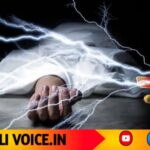 ಬಿದಿರು ಕತ್ತರಿಸುವಾಗ ವಿದ್ಯುತ್ ಪ್ರವಹಿಸಿ ಕಾರ್ಮಿಕ ಸಾವು