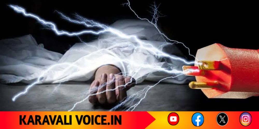 ಬಿದಿರು ಕತ್ತರಿಸುವಾಗ ವಿದ್ಯುತ್ ಪ್ರವಹಿಸಿ ಕಾರ್ಮಿಕ ಸಾವು